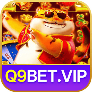 q9bet Gaming Experience